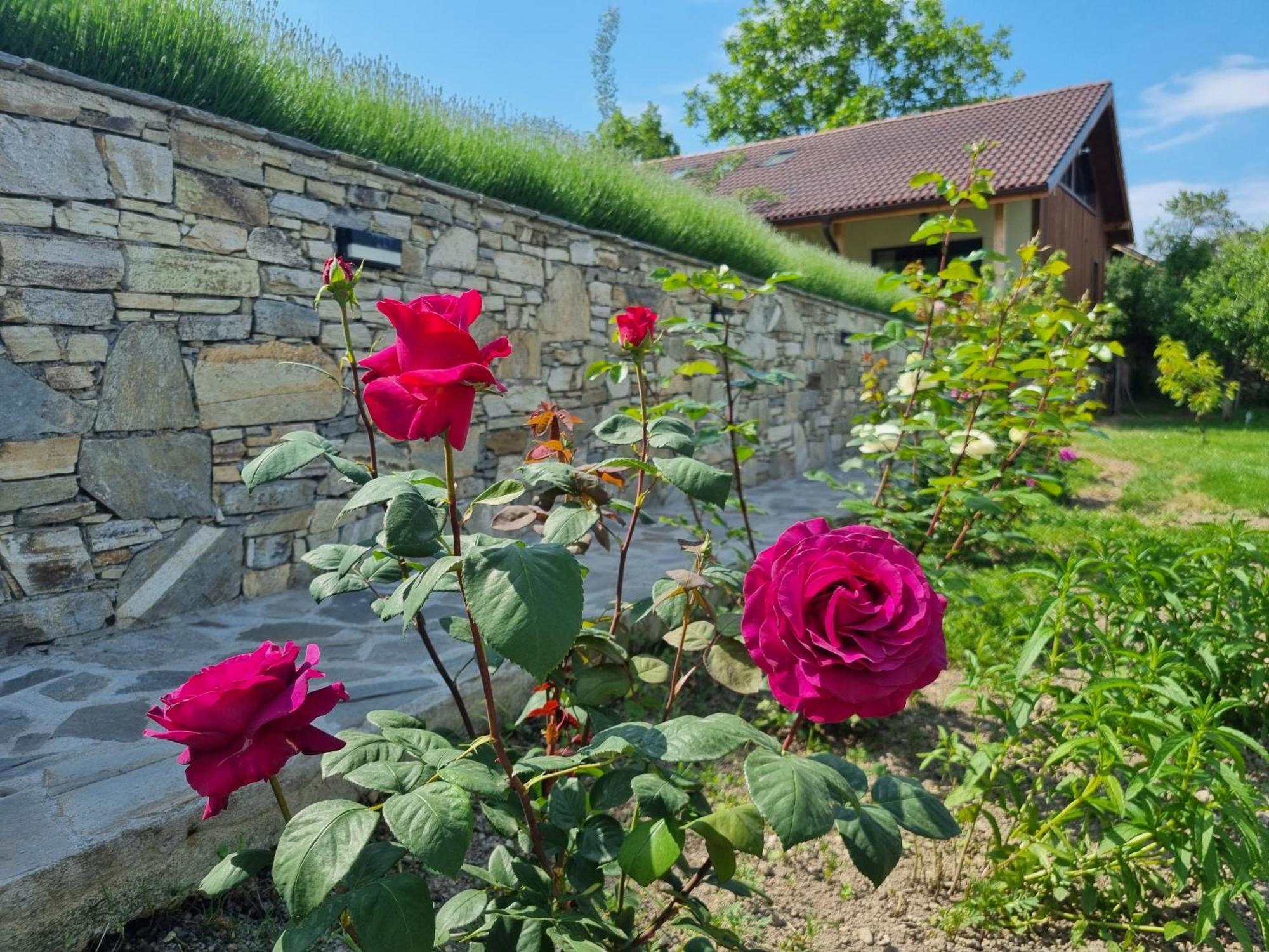 Walnut Cottage 1 Debrastica Kültér fotó